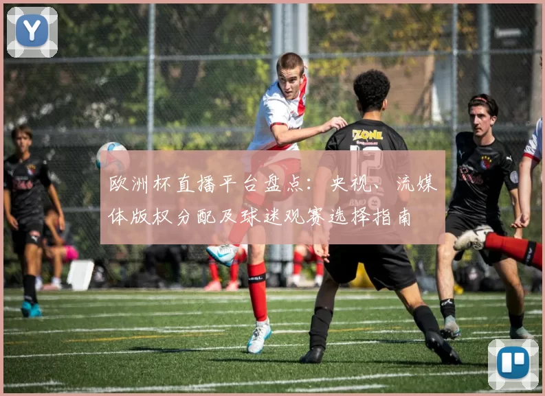 欧洲杯直播平台盘点：央视、流媒体版权分配及球迷观赛选择指南