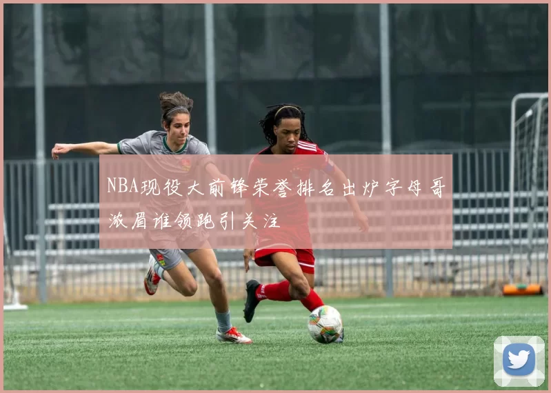 NBA现役大前锋荣誉排名出炉字母哥浓眉谁领跑引关注