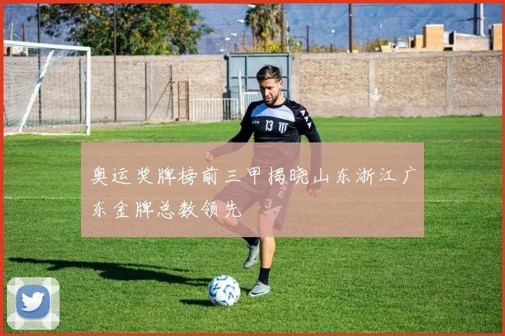 奥运奖牌榜前三甲揭晓山东浙江广东金牌总数领先