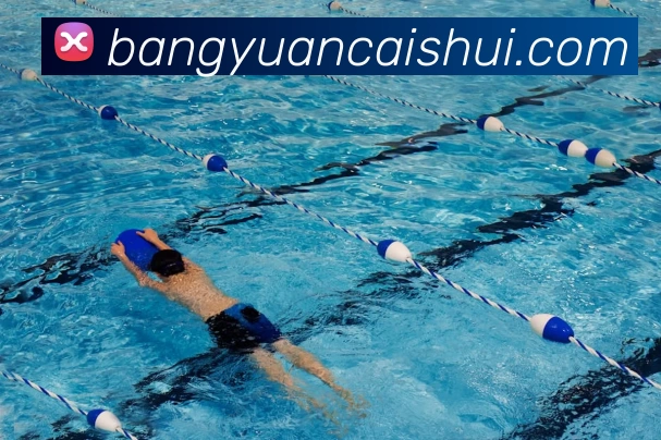 b体育网发展历程